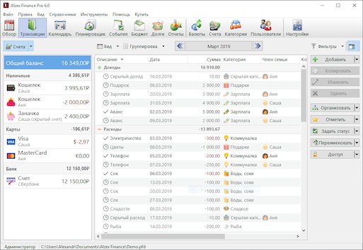 Скриншот домашней бухгалтерии Alzex Finance 6.1